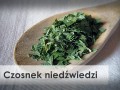 Czosnek niedźwiedzi GAP food additives