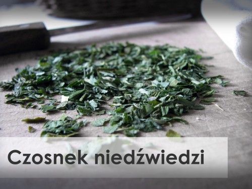 Czosnek niedźwiedzi GAP food additives
