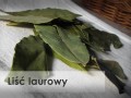 Liść laurowy GAP food additives